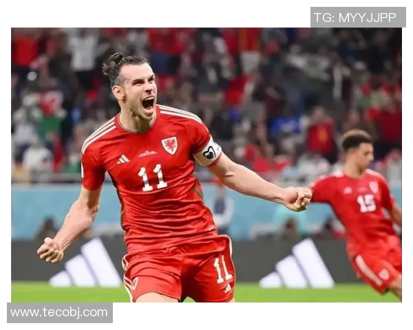 足球明星贝尔的实力分析及其在足球界的影响力探讨