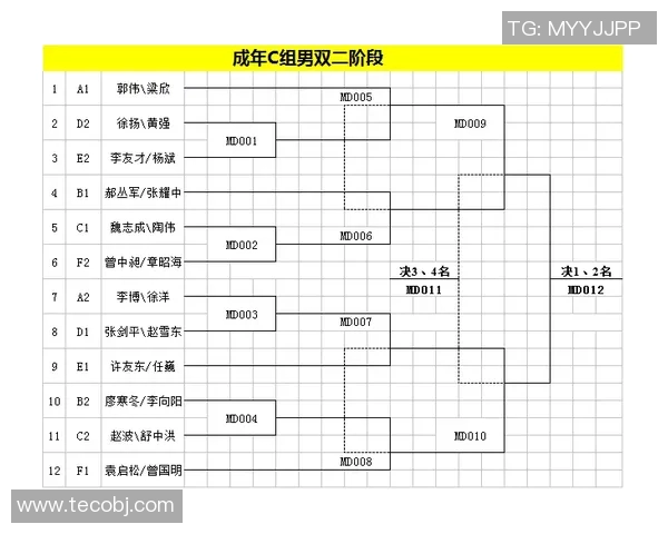 重庆羽毛球队与上海羽毛球队实力对比赛后分析与总结
