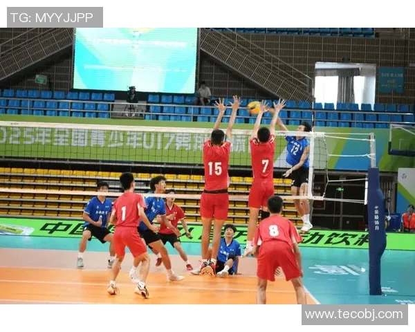 上海排球队在排球状态排行榜中荣登第七名展现强劲实力与潜力