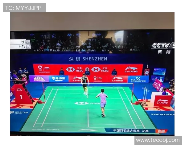 深圳羽毛球队与北京羽毛球队实力对比赛后分析与总结