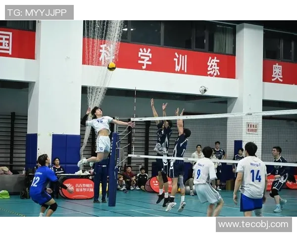 广州排球队实力强劲荣登全国排球力量排行榜第四名 广州排球队实力强劲荣登全国排球力量排行榜第四名