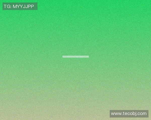 广州篮球队在联合会杯中的状态分析与表现评估