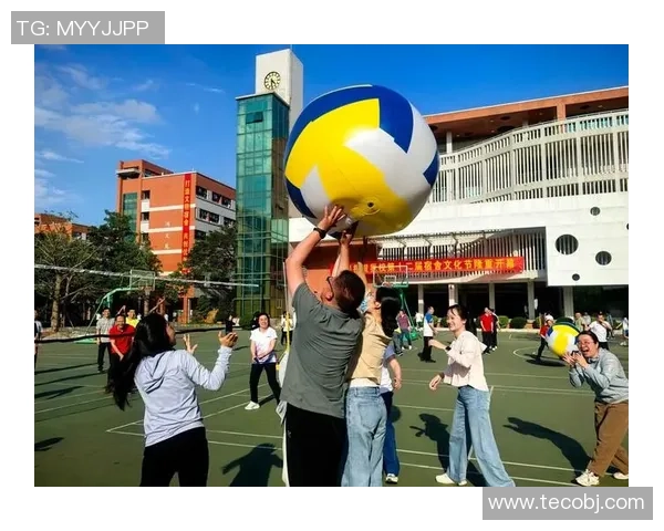 排球盛宴：深入杭州排球队的训练与荣耀之路