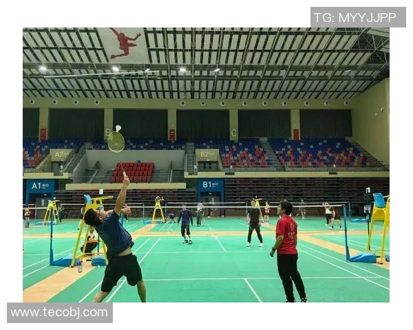 羽毛球盛宴:深入南京羽毛球队的速度与激情之旅 羽毛球盛宴:深入南京羽毛球队的速度与激情之旅