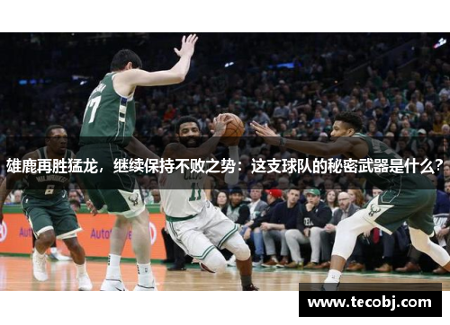 雄鹿再胜猛龙，继续保持不败之势：这支球队的秘密武器是什么？