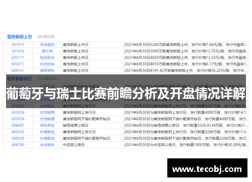 葡萄牙与瑞士比赛前瞻分析及开盘情况详解