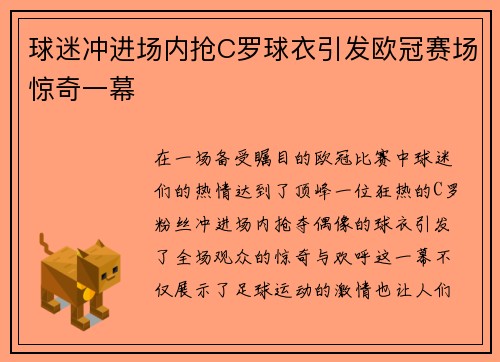球迷冲进场内抢C罗球衣引发欧冠赛场惊奇一幕